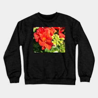 Summer flower colours Crewneck Sweatshirt